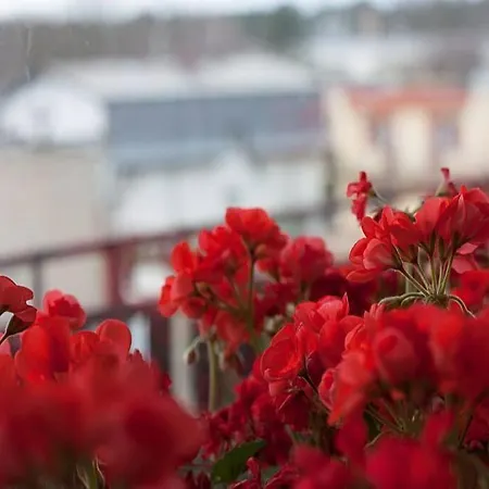 Haven - Parking Space Included