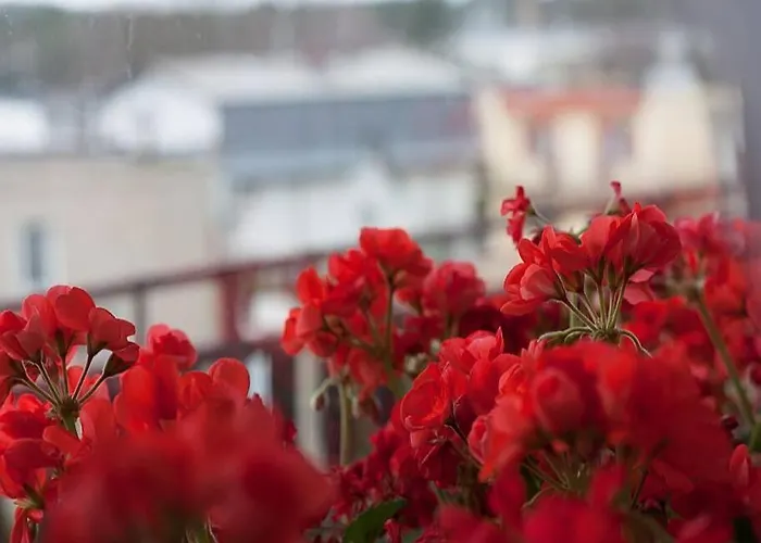 Haven - Parking Space Included